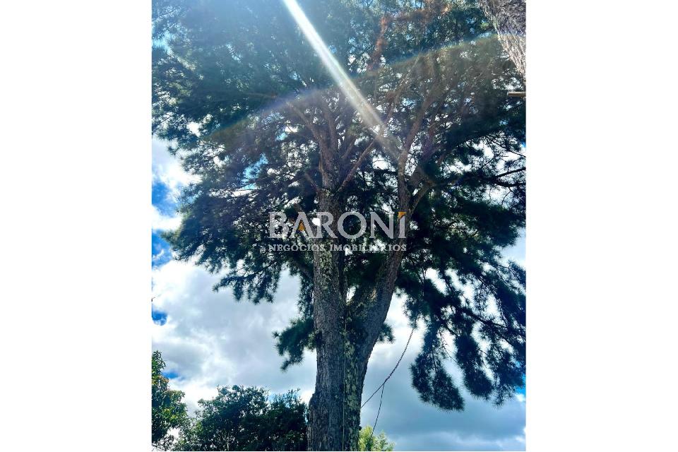 Casa - Nova Higienópolis