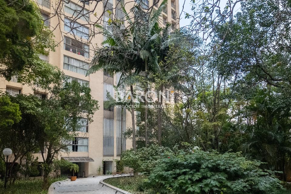 Apartamento - Morro Dos Ingleses