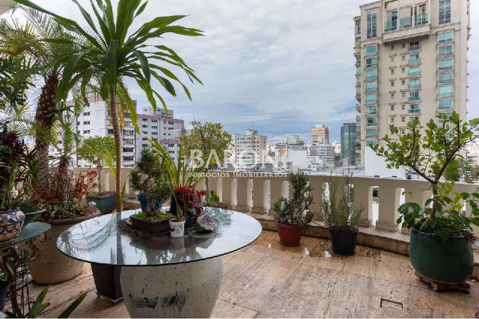 Apartamento - Jardim Europa