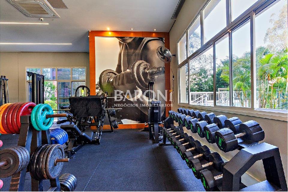 Apartamento - Morumbi