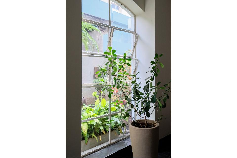 Apartamento - Jardim América