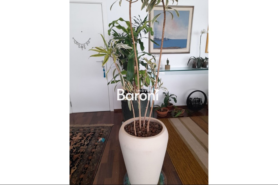 Apartamento - Jardim América
